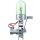 Green Science Dynamo-Lampe