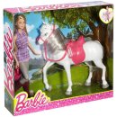 Mattel DHB68 Barbie Puppe mit Pony